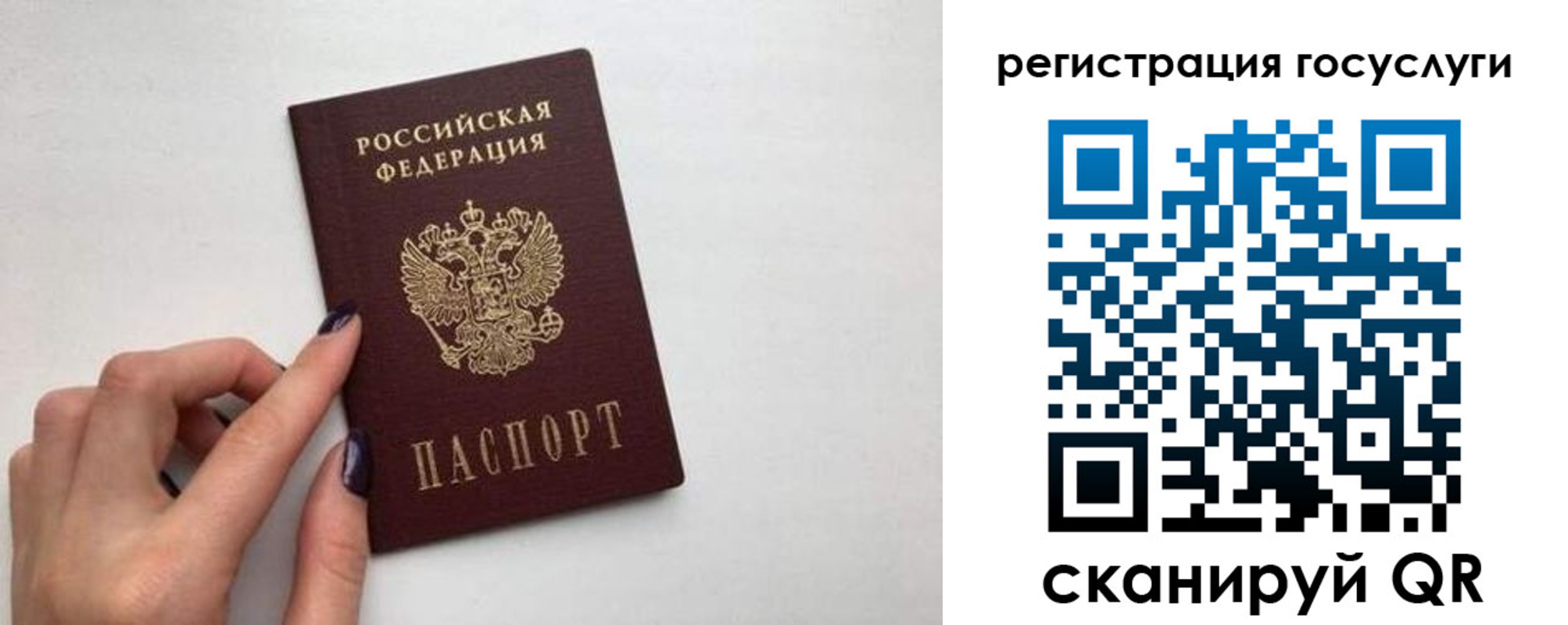 временная регистрация гарантия в Калужской области